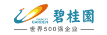 鴻翼&碧桂園 文件檔案一體化項目案例