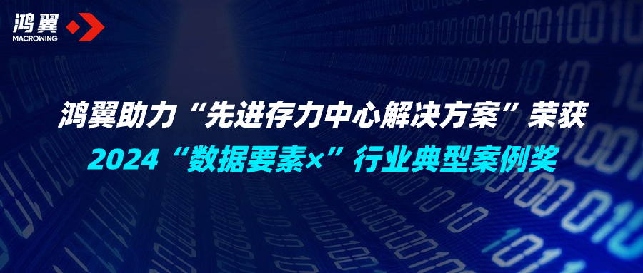 加“數”前進！鴻翼助力“先進存力中心解決方案”榮獲2024“數據要素×”行業典型案例獎